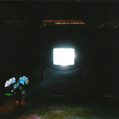 Does It Look Like I'm Here? - Ectoplasm - Vinyl LP