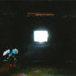 Does It Look Like I'm Here? - Ectoplasm - Vinyl LP