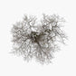 Tree - Vinyl LP