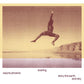 Soaring Wayne Phoenix Story The Earth And Sky - Vinyl LP
