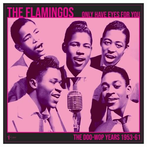 We Only Have Eye's For You: The Doo Wop Years 1953-61 - Vinyl LP
