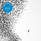 Sky Blue Sky - Vinyl LP