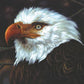 The Hawk Is Howling - Vinyl LP