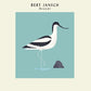 Avocet - Vinyl LP
