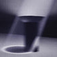Perspective - Vinyl LP