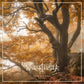 Unter Bronzenen Kronen - Vinyl LP
