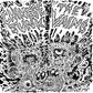 Split - 7-Inch Single