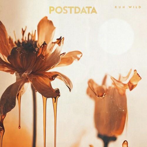Run Wild - Vinyl LP