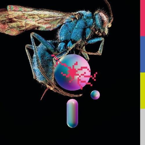 Hive - Vinyl LP (Blue)