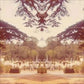 Nightshade - Vinyl LP