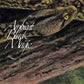 Ambient Black Magic - Vinyl LP