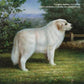 VMAK<KOMBZ<<<DUGLAS<<6NDR7<<< - Vinyl LP
