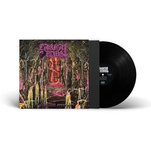 Embalmed In Decay - Vinyl LP
