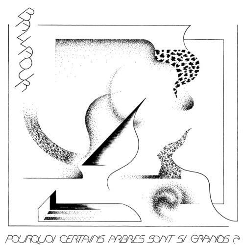 Pourquoi certains arbres sont si grands - Vinyl LP