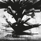 The Tower - Vinyl LP