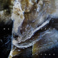 Rofnar - Vinyl LP