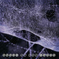 Speed Of The Stars - Vinyl LP (Purple)