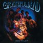 Built To Last - Vinyl LP