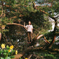 Melt The Honey - Vinyl LP (Gold)