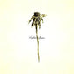 Wooden Arms - Vinyl LP