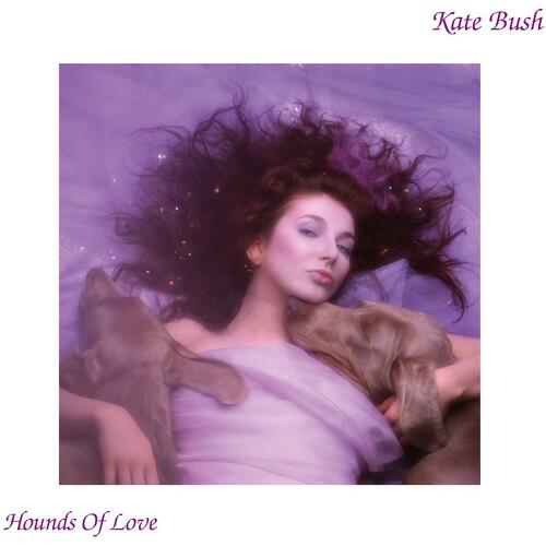 Hounds Of Love - 2018 Remaster 180gm Black Vinyl - Vinyl LP 180 Gram