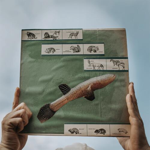 The River Strumming - Vinyl LP 180 Gram