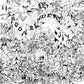Dura Mater - Vinyl LP