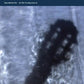 On The Turning Ground - Vinyl LP