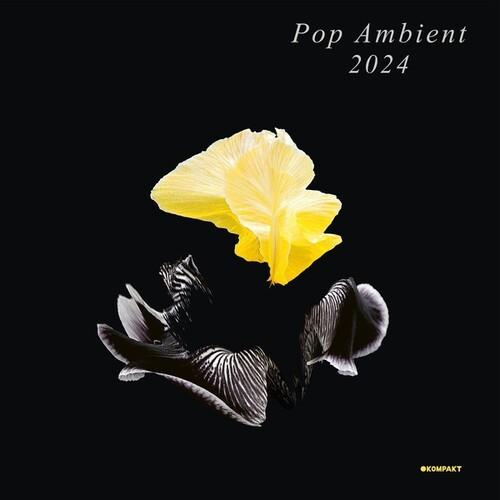 Pop Ambient 2024 - Vinyl LP