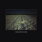 The Haxan Cloak - Vinyl LP