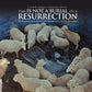 This Is Not A Burial It's A Resurrection: Original Motion Picture Soundtrack - Vinyl LP