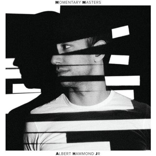 Momentary Masters - Vinyl LP