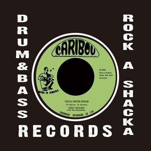 You'll Never Know - 7-Inch Single