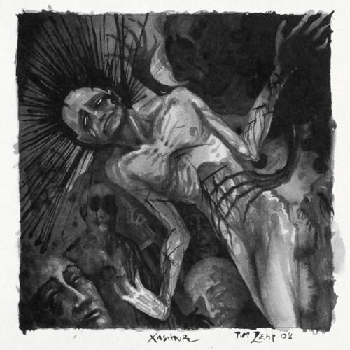 All Reflections Drained - Vinyl LP