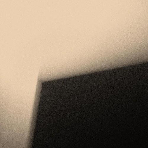 for you who are the wronged (Lomond Campbell remixes) - Vinyl LP