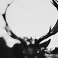 IHSAHN (Orchestral Version) Clear w/ Black Smoke Marble - Vinyl LP