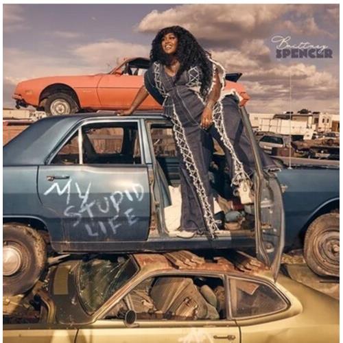 My Stupid Life - Vinyl LP