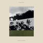 Forgiving Season - Vinyl LP