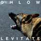Levitate - Vinyl LP