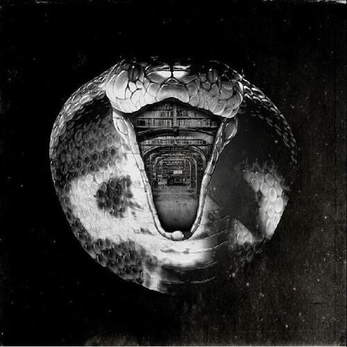 Genius Killer - Vinyl LP