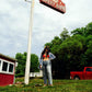 Tigers Blood - Vinyl LP