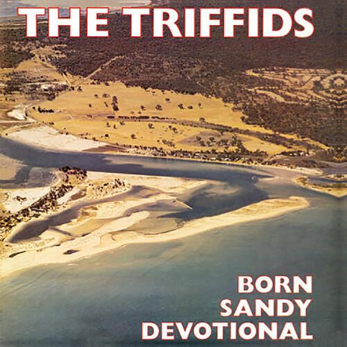 Born Sandy Devotional - Vinyl LP