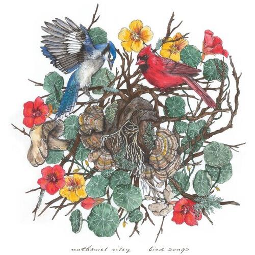 Bird Songs - Vinyl LP