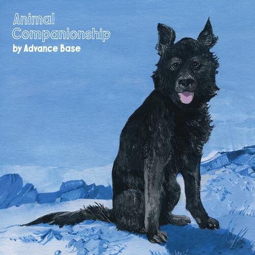 Animal Companionship - Vinyl LP