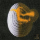 Head Body Connector - Vinyl LP
