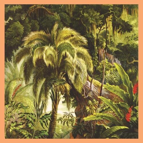 La Foret - Vinyl LP