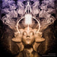 Echoes From The Universe - Vinyl LP