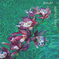 Deep Sea Vents - Vinyl LP