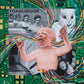 Back In The Hole - Vinyl LP