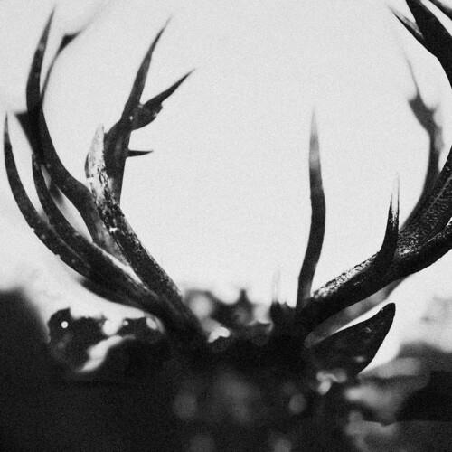 Ihsahn - Vinyl LP